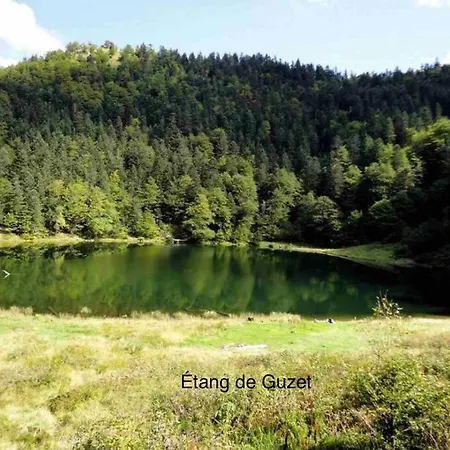 Confort Montagne Apartment